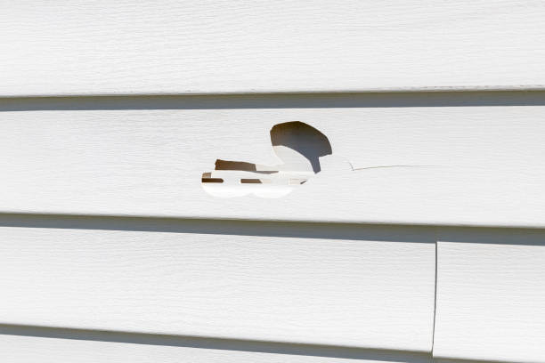 Best Engineered Wood Siding  in Crest, CA